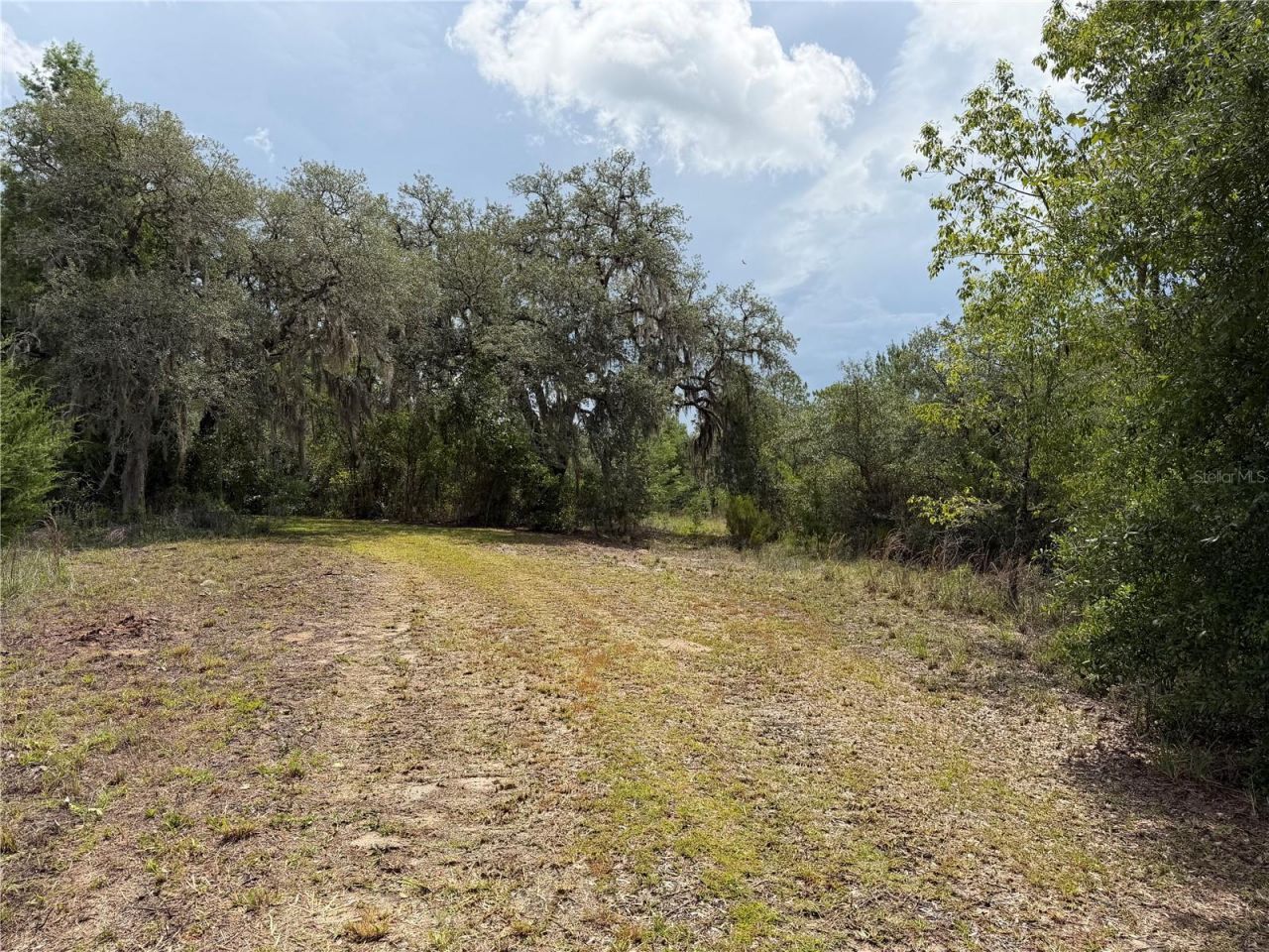 9730 NE State Road 24 , Archer, FL 32618 Photo