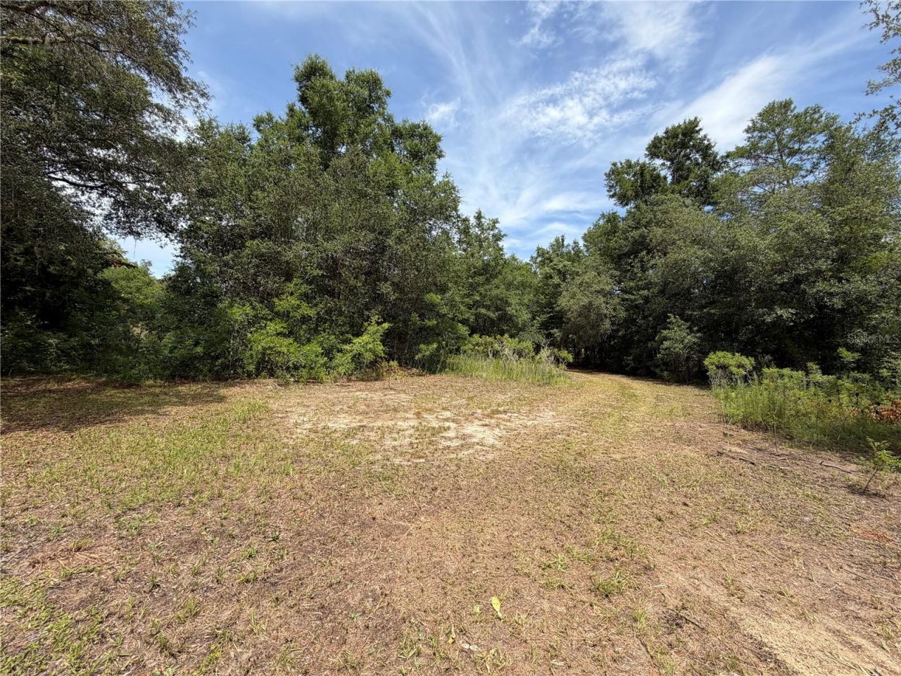 9730 NE State Road 24 , Archer, FL 32618 Photo
