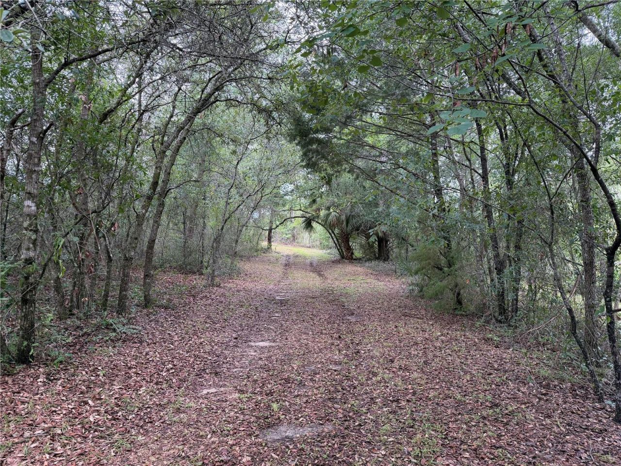 9730 NE State Road 24 , Archer, FL 32618 Photo