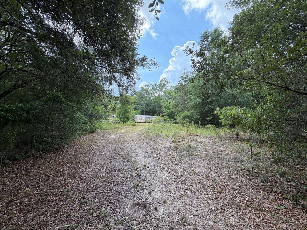 9730 NE State Road 24 , Archer, FL 32618 Photo