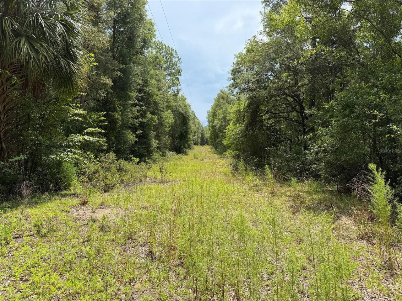 9730 NE State Road 24 , Archer, FL 32618 Photo