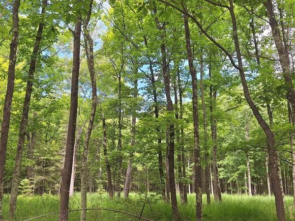 xxx South Shore Rd, La Pointe, WI 54850