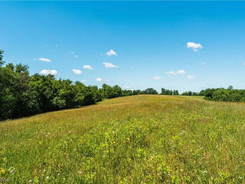 Norris Road, Tippecanoe, OH 44699 Photo 10