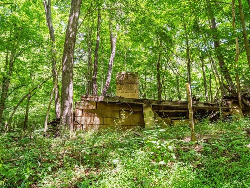 Norris Road, Tippecanoe, OH 44699 Photo 13