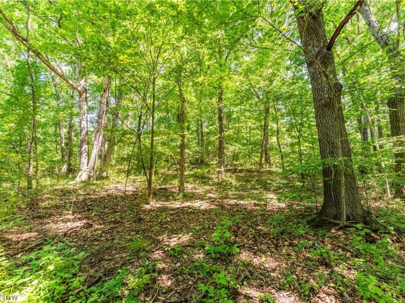 Norris Road, Tippecanoe, OH 44699 Photo 22