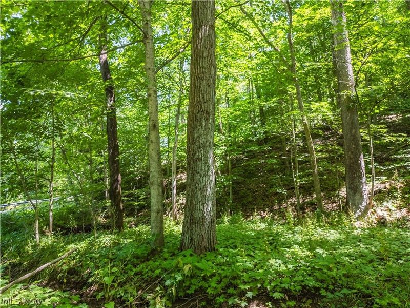 Norris Road, Tippecanoe, OH 44699 Photo 23