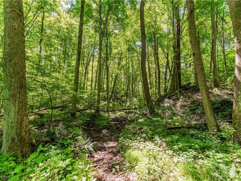 Norris Road, Tippecanoe, OH 44699 Photo 24