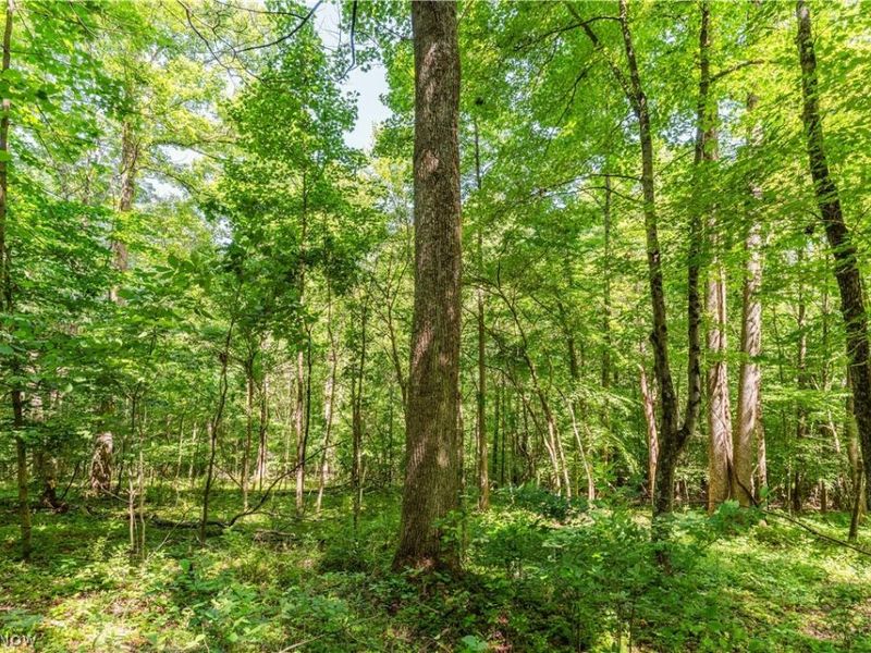Norris Road, Tippecanoe, OH 44699 Photo 27