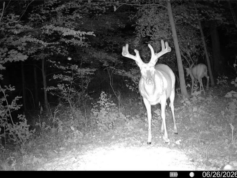 Norris Road, Tippecanoe, OH 44699 Photo 29