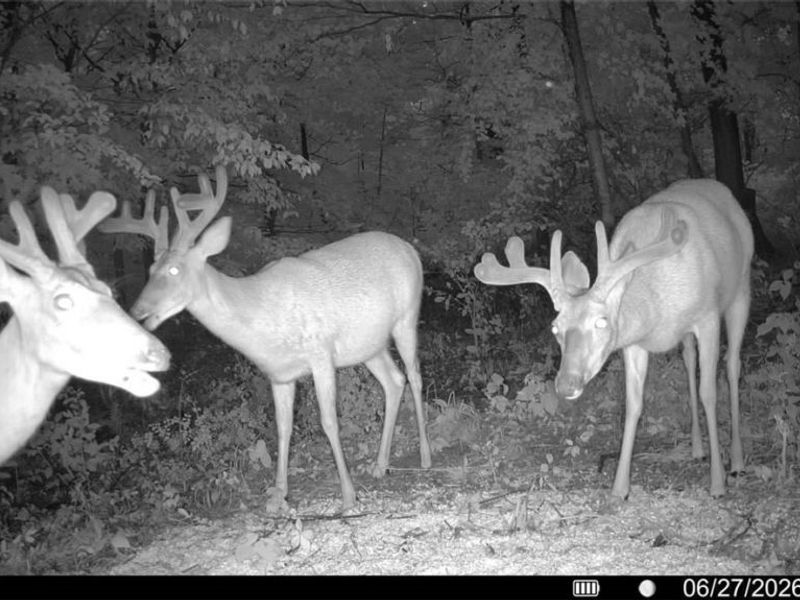 Norris Road, Tippecanoe, OH 44699 Photo 30