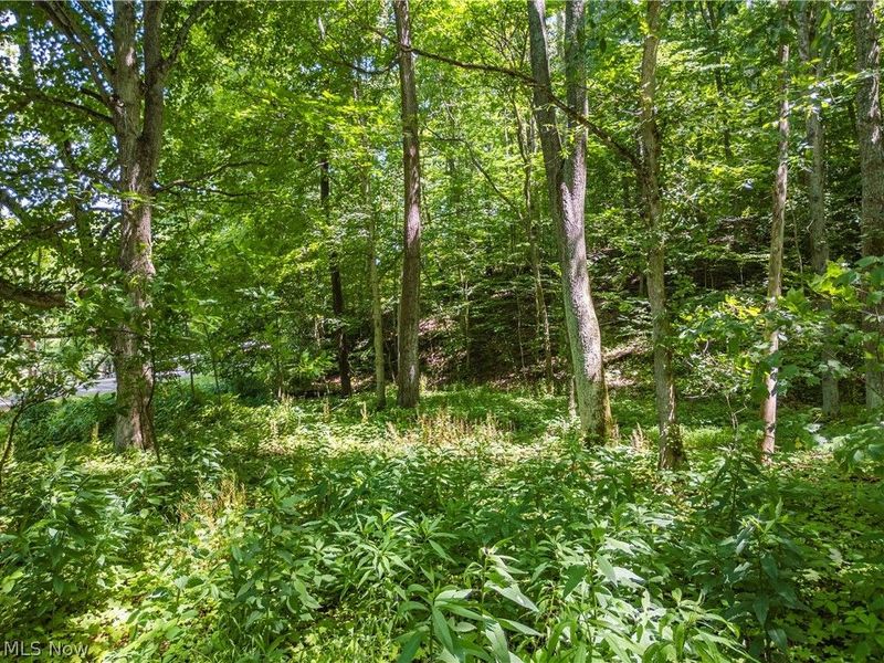 Norris Road, Tippecanoe, OH 44699 Photo 5