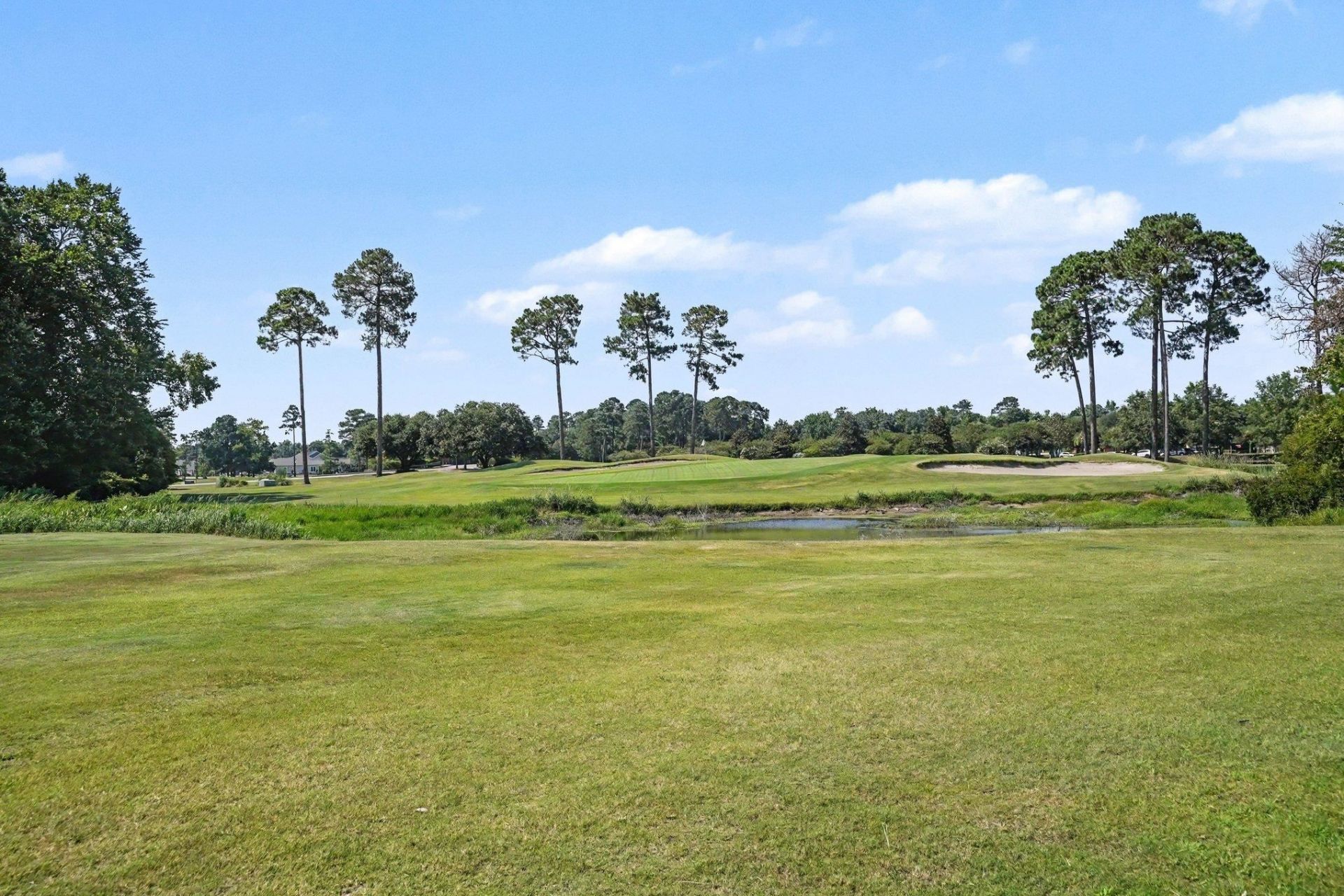 1004 Whooping Crane Dr.  Photo 46