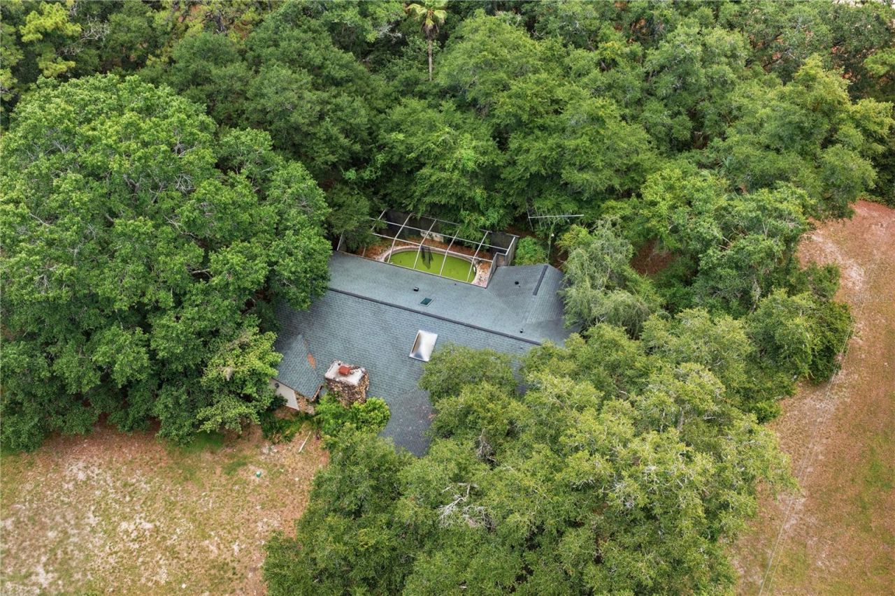 4444 Raines Road, Brooksville, FL 34604 Photo