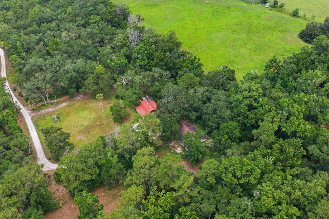 4444 Raines Road, Brooksville, FL 34604 Photo