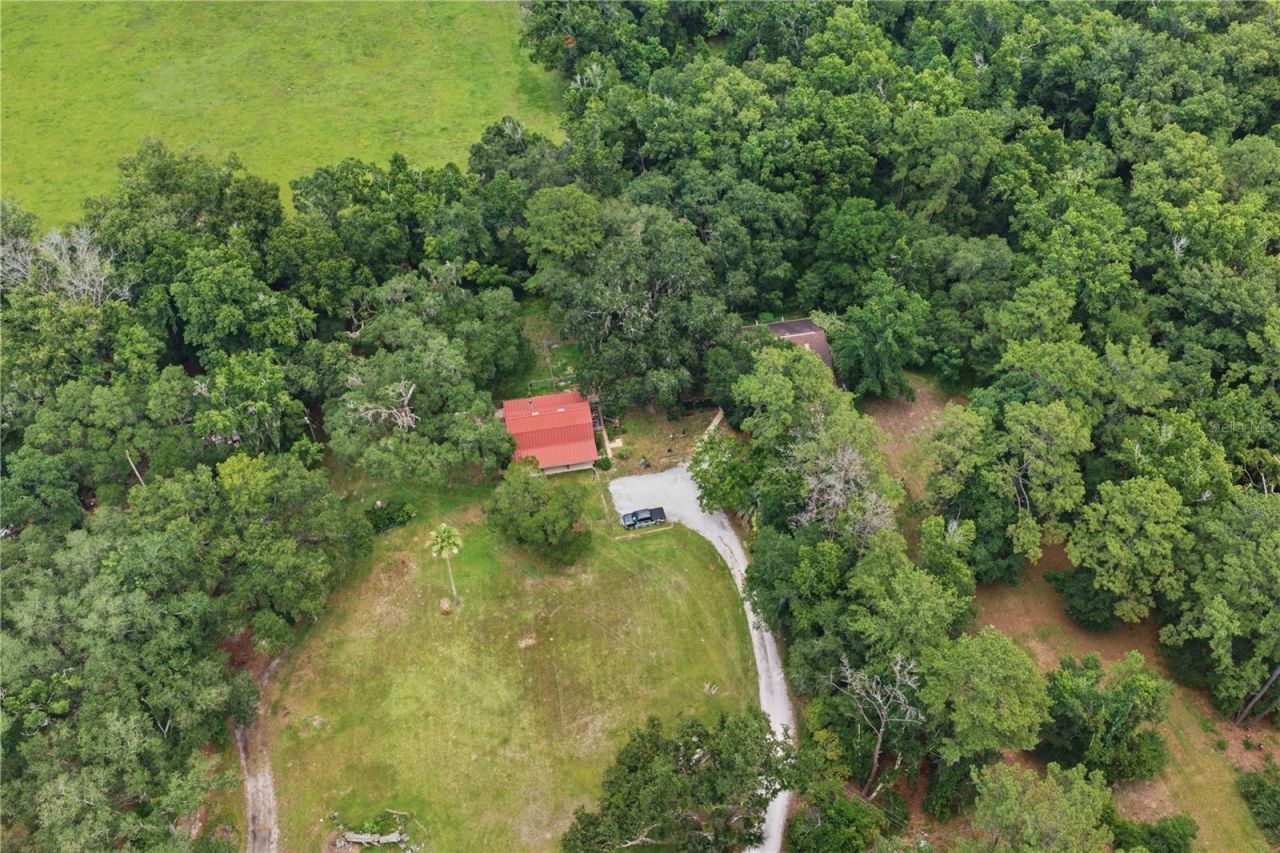 4444 Raines Road, Brooksville, FL 34604 Photo