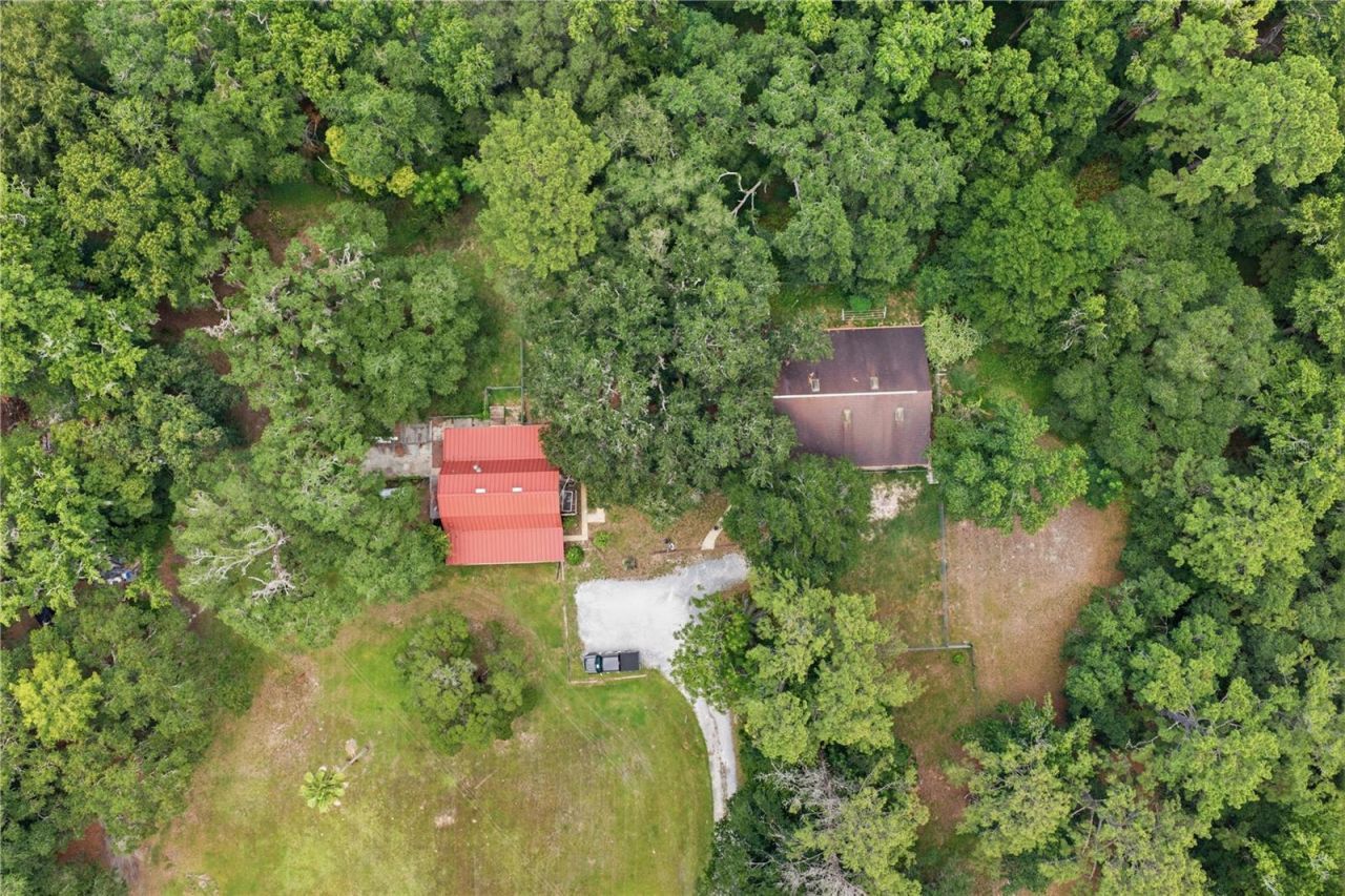 4444 Raines Road, Brooksville, FL 34604 Photo