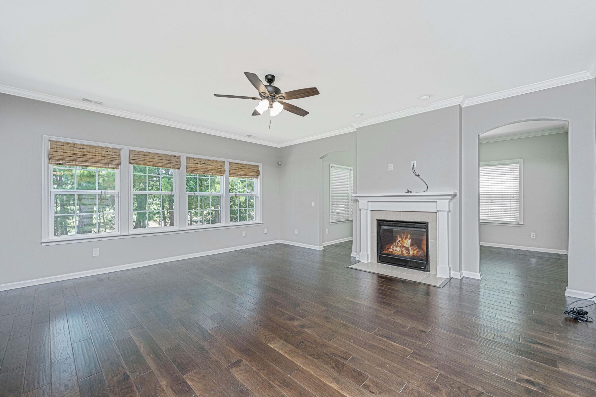 197 Silver Cypress Circle Photo 13
