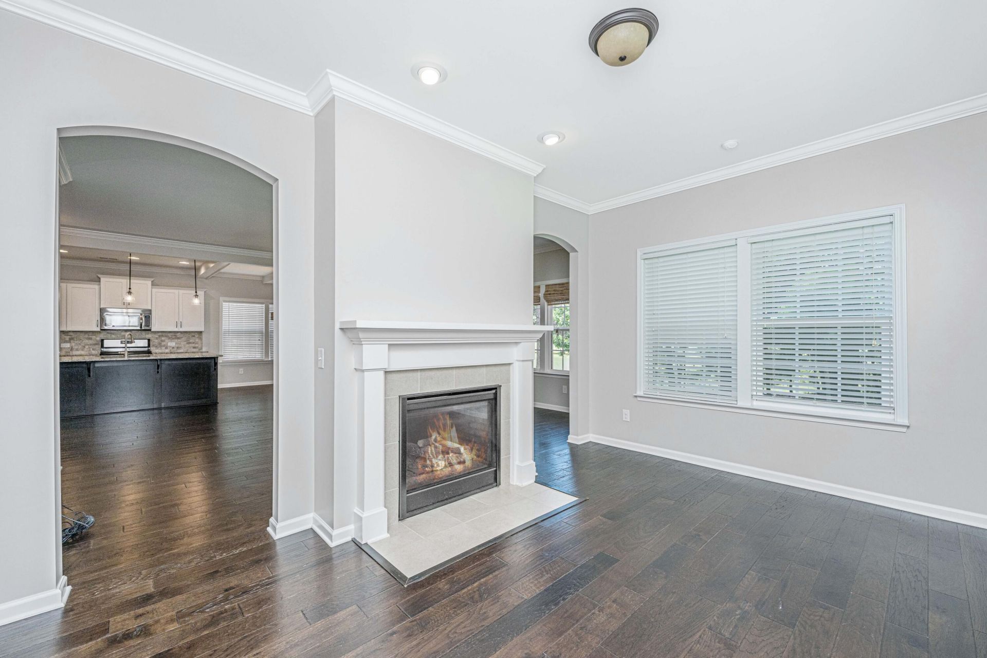 197 Silver Cypress Circle Photo 16