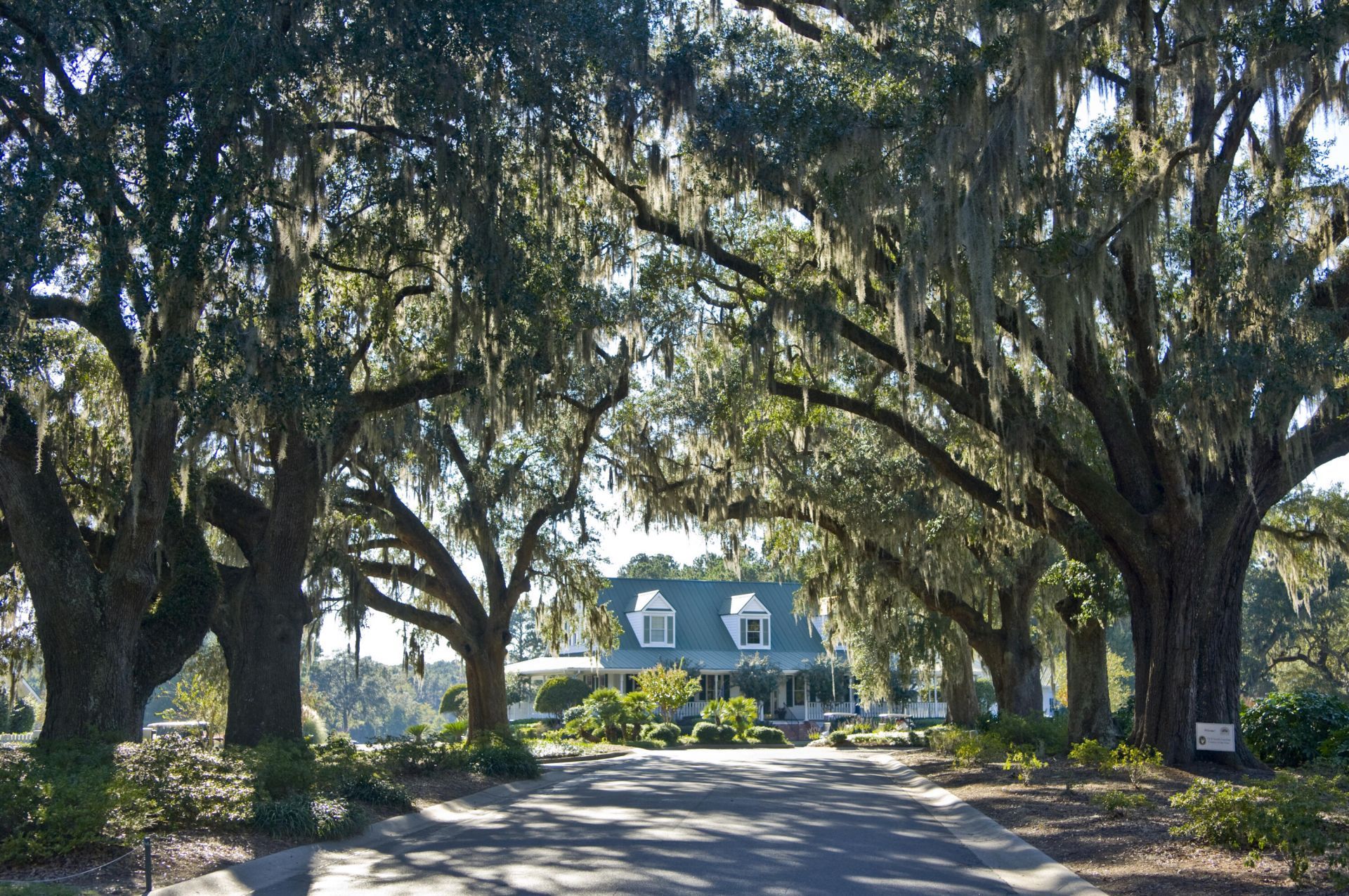 197 Silver Cypress Circle Photo 68