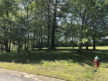 1259 Links Lane, Mayfield, KY 42066