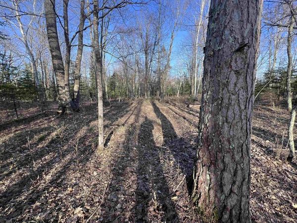 NEJEDLO ROAD, Wausaukee, WI 54177
