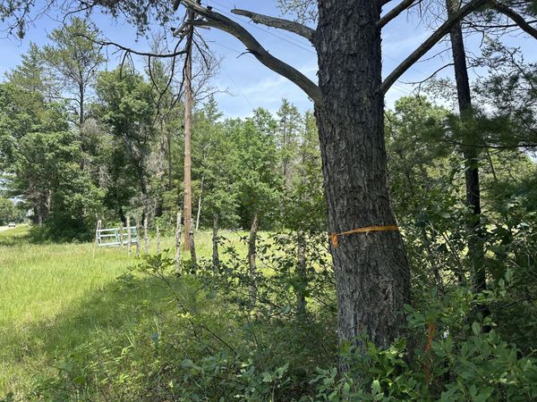 00 S Broadway Street, Idlewild, MI 49642
