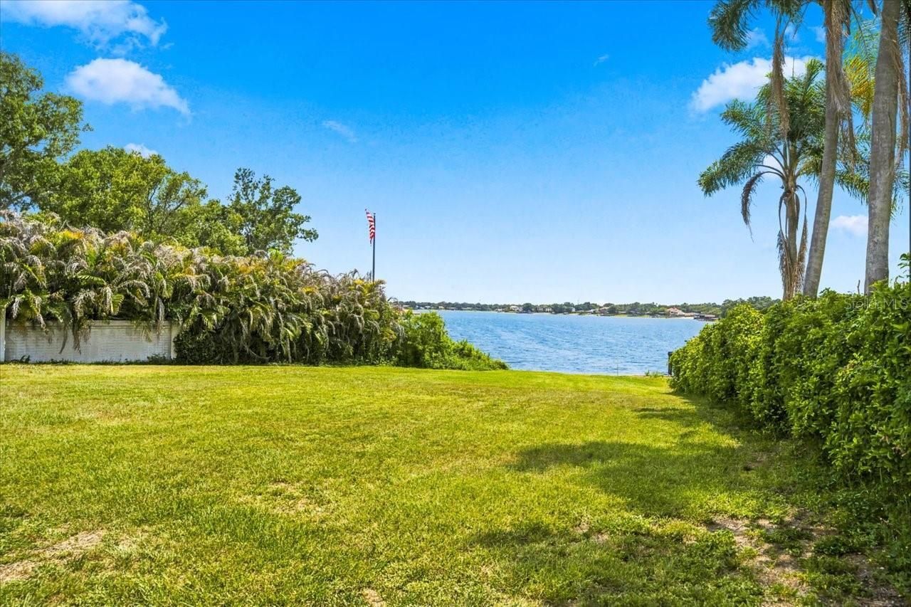 12002 Waterside Court, Tampa, FL 33612 Photo