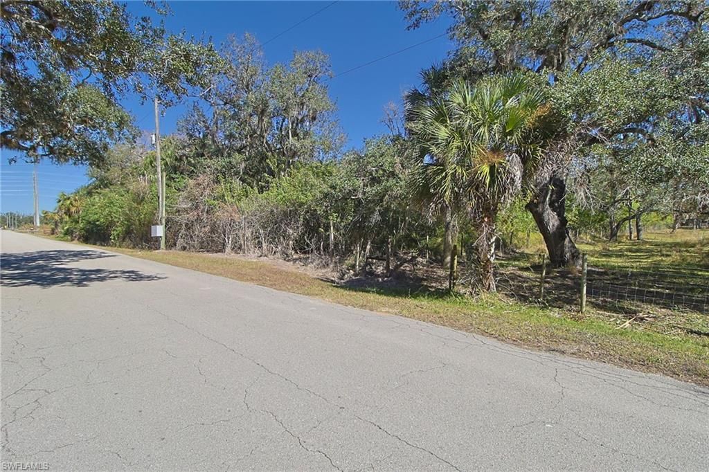 2971 Styles Rd, Alva, FL 33920 Photo