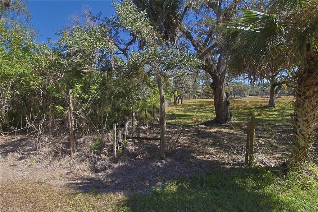 2971 Styles Rd, Alva, FL 33920 Photo