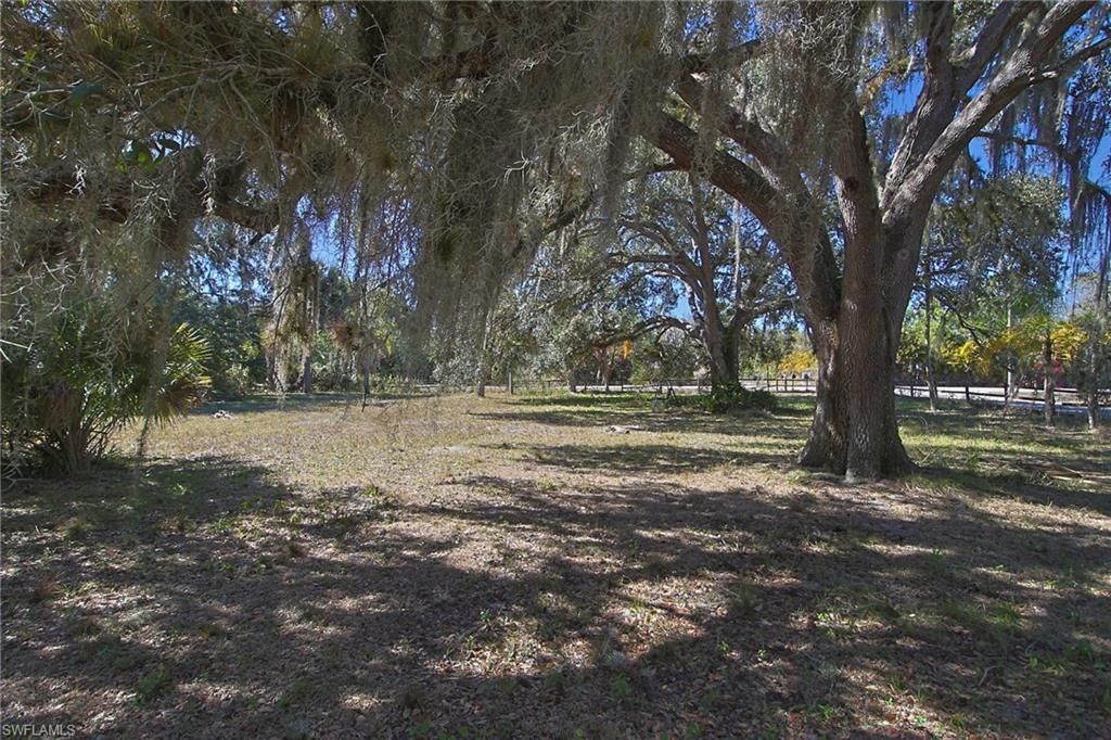 2971 Styles Rd, Alva, FL 33920 Photo