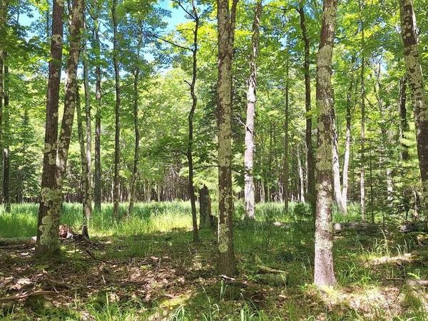 xxx South Shore Rd, La Pointe, WI 54850