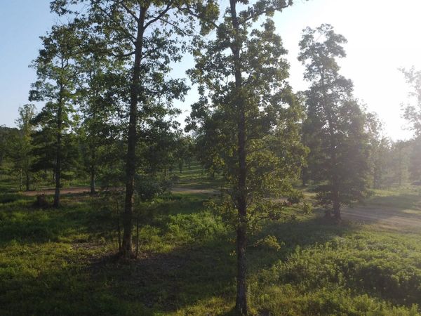 Tract 08 TBD Whittington Homestead , Story, AR 71970