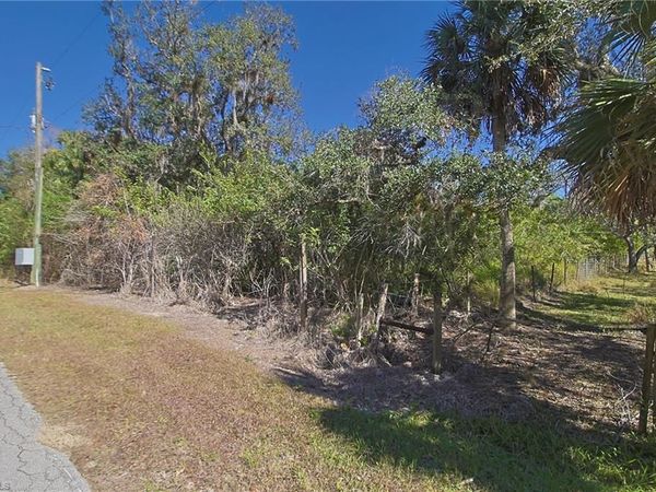 2975 Styles RD , ALVA, FL 33920