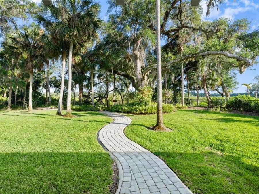 Property Image 56