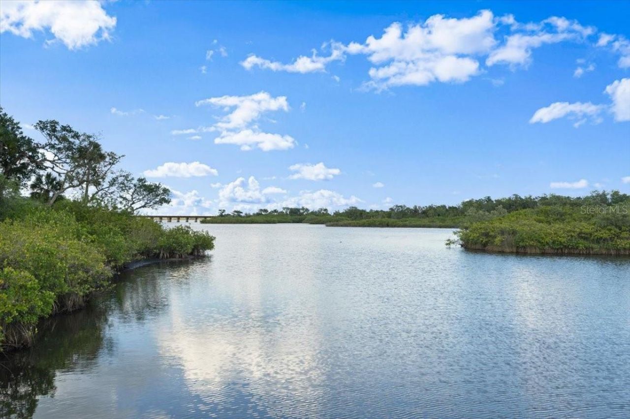6317 Palmas Bay Circle, Port Orange, FL 32127 Photo