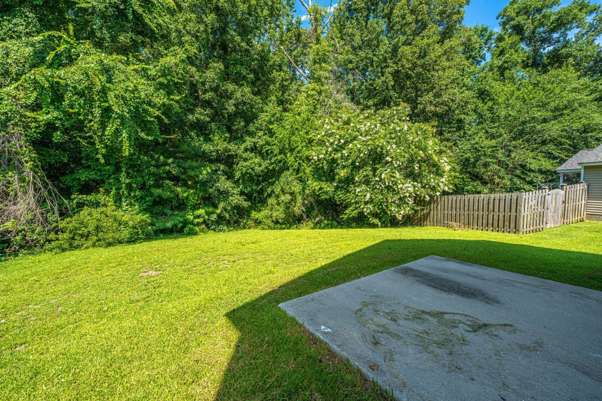 142 Avalon Road Photo 30