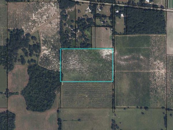 HAYMAN ROAD , WAUCHULA, FL 33873