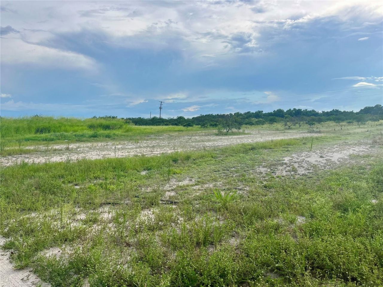 Hayman Road , Wauchula, FL 33873 Photo