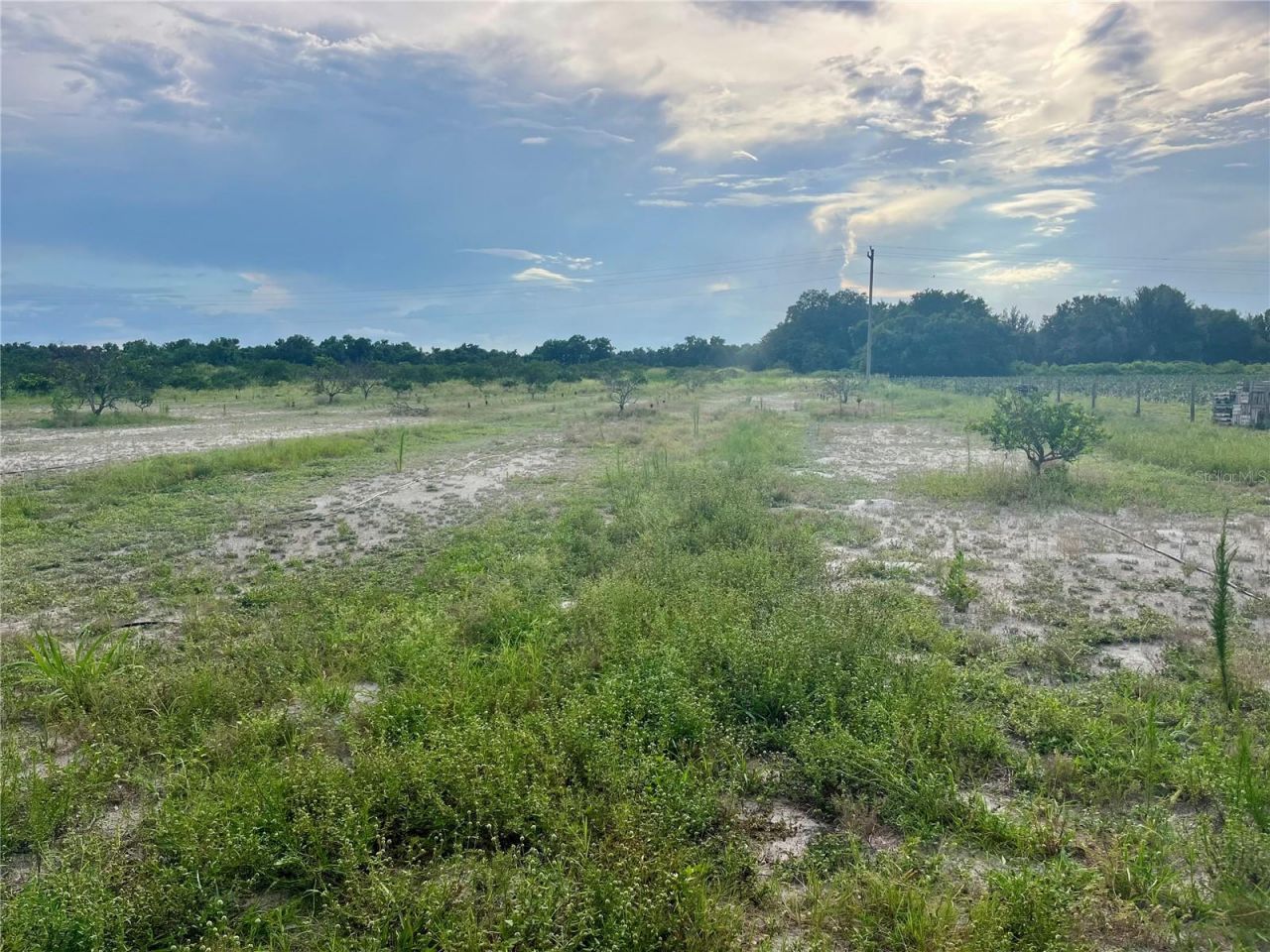 Hayman Road , Wauchula, FL 33873 Photo