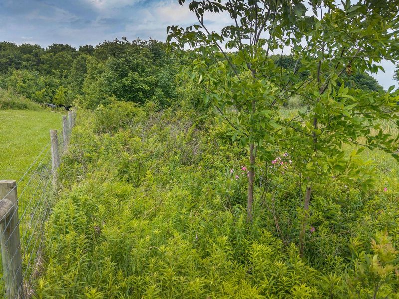 0 Johnstown Road , Centerburg, OH 43011 Photo 10