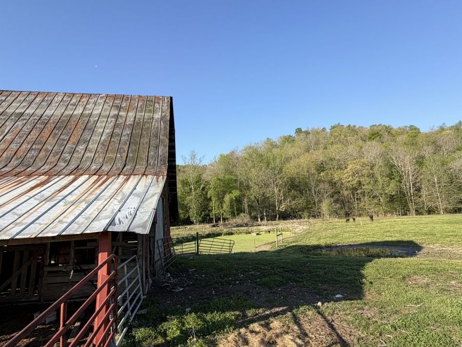 Property Image 53