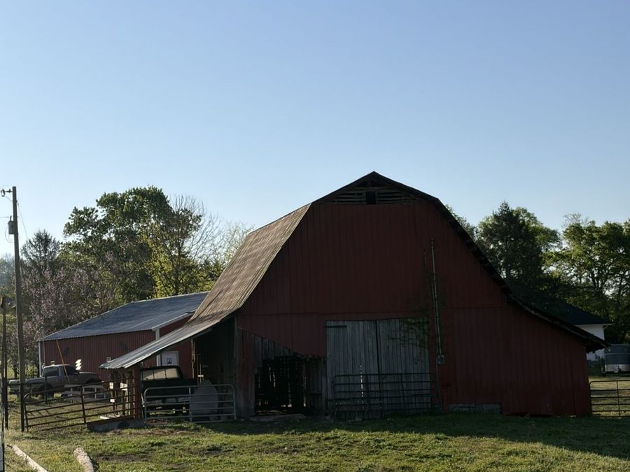 Property Image 7