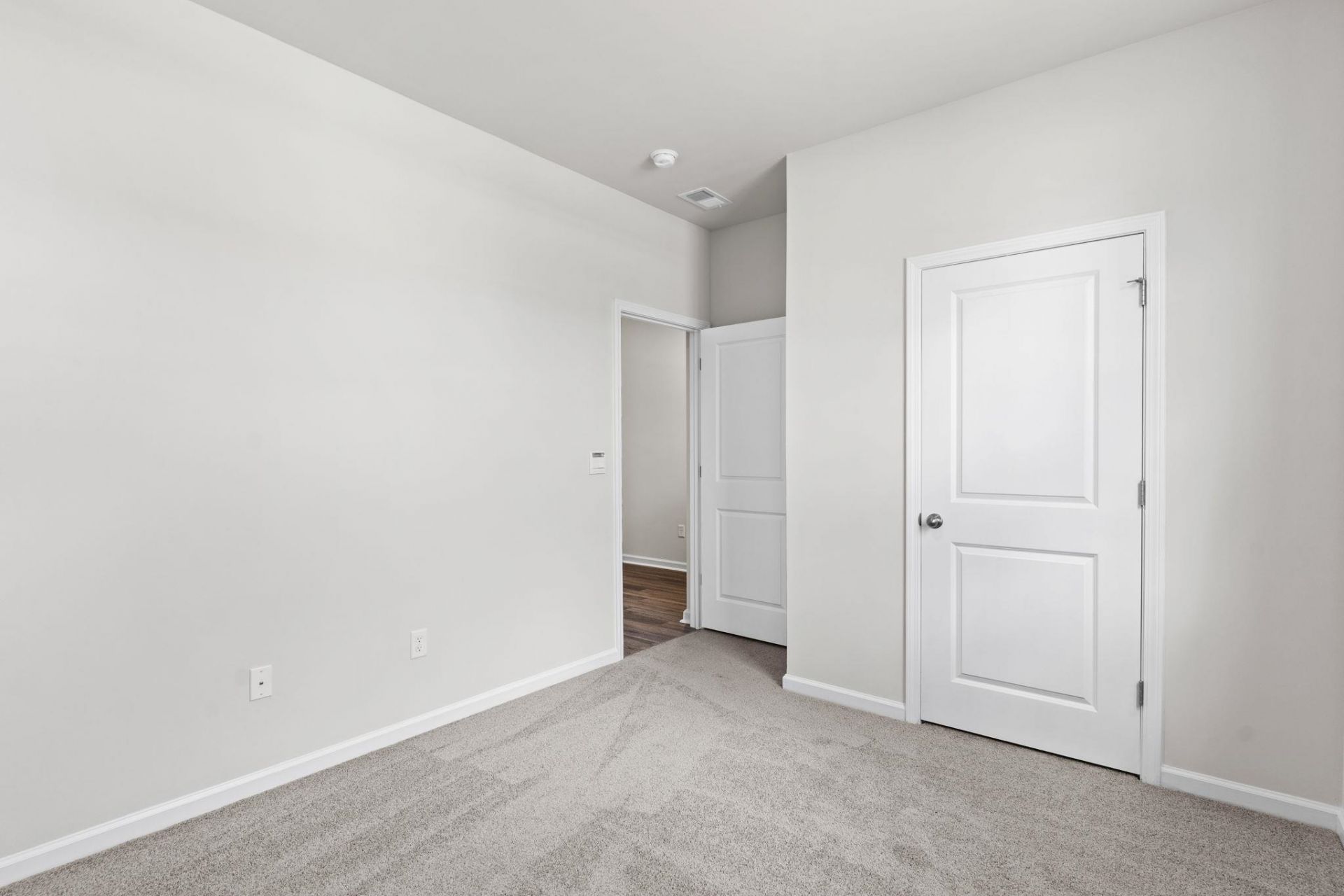 338 Ridley St Photo 15