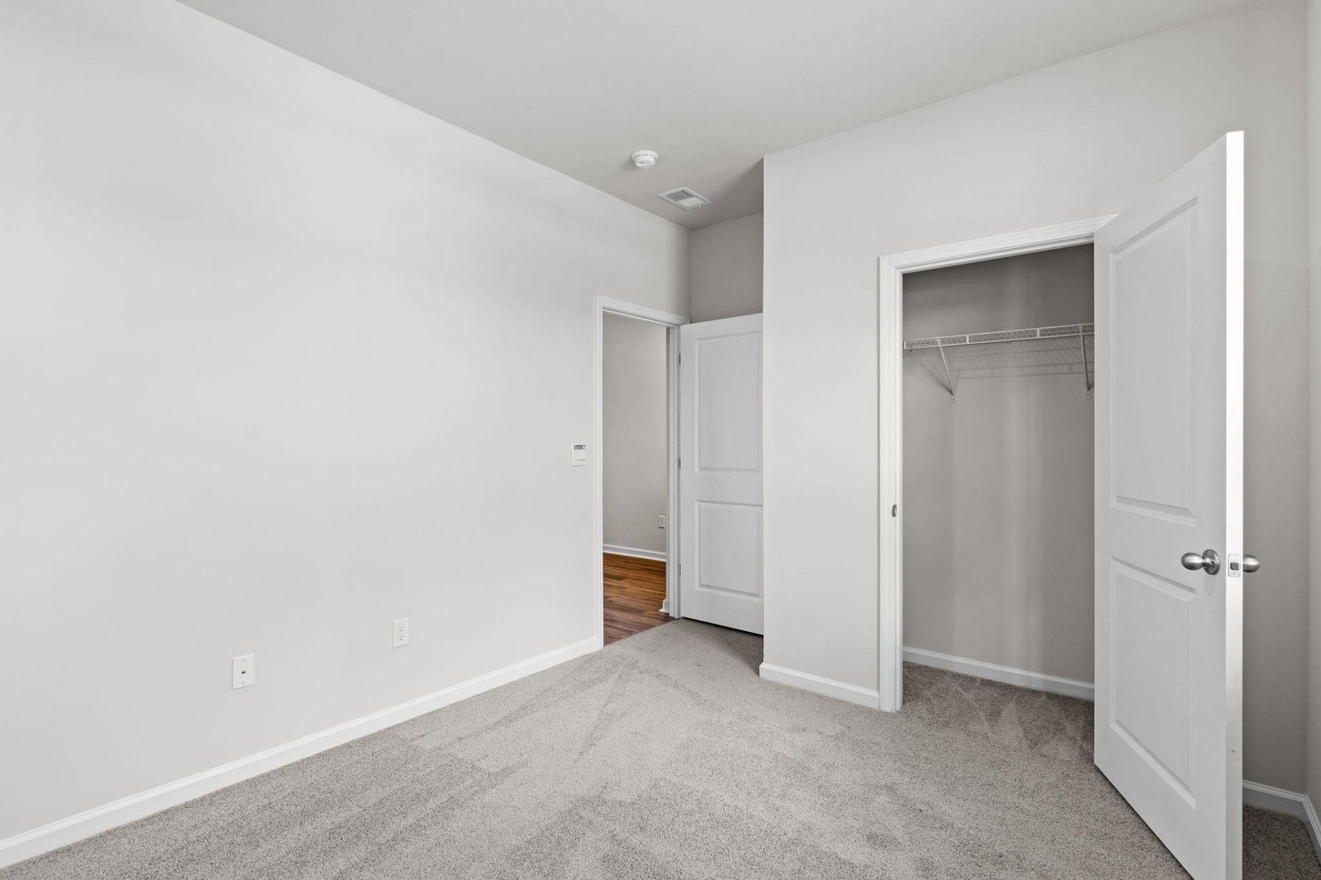 338 Ridley St Photo 17
