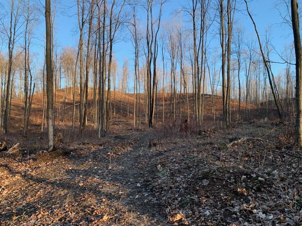 0 Off of Chief Road, Bear Lake, MI 49614