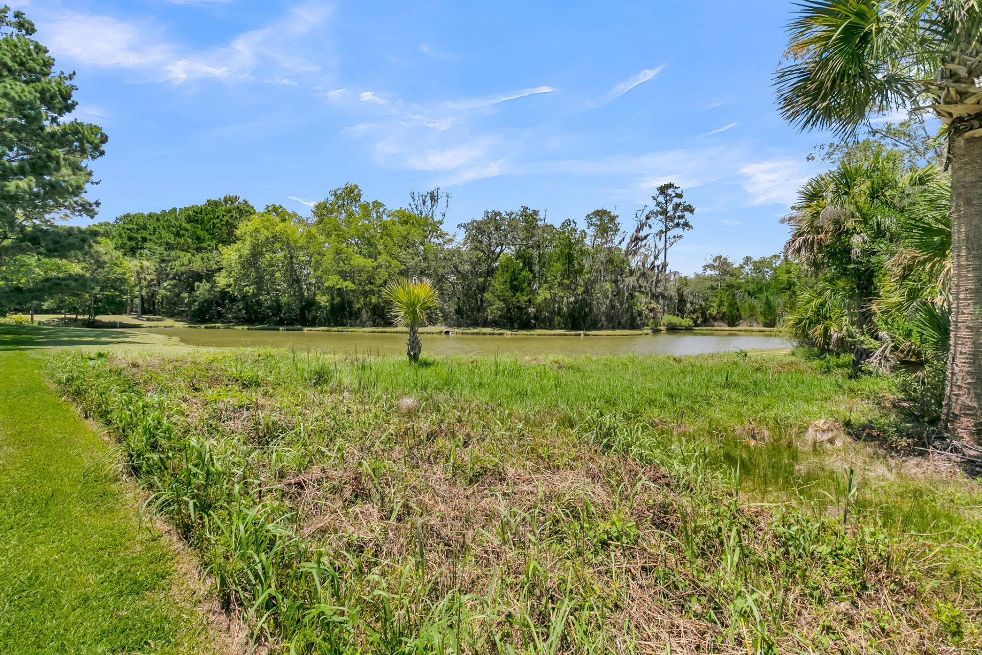 1105 Barfield Street Photo 50