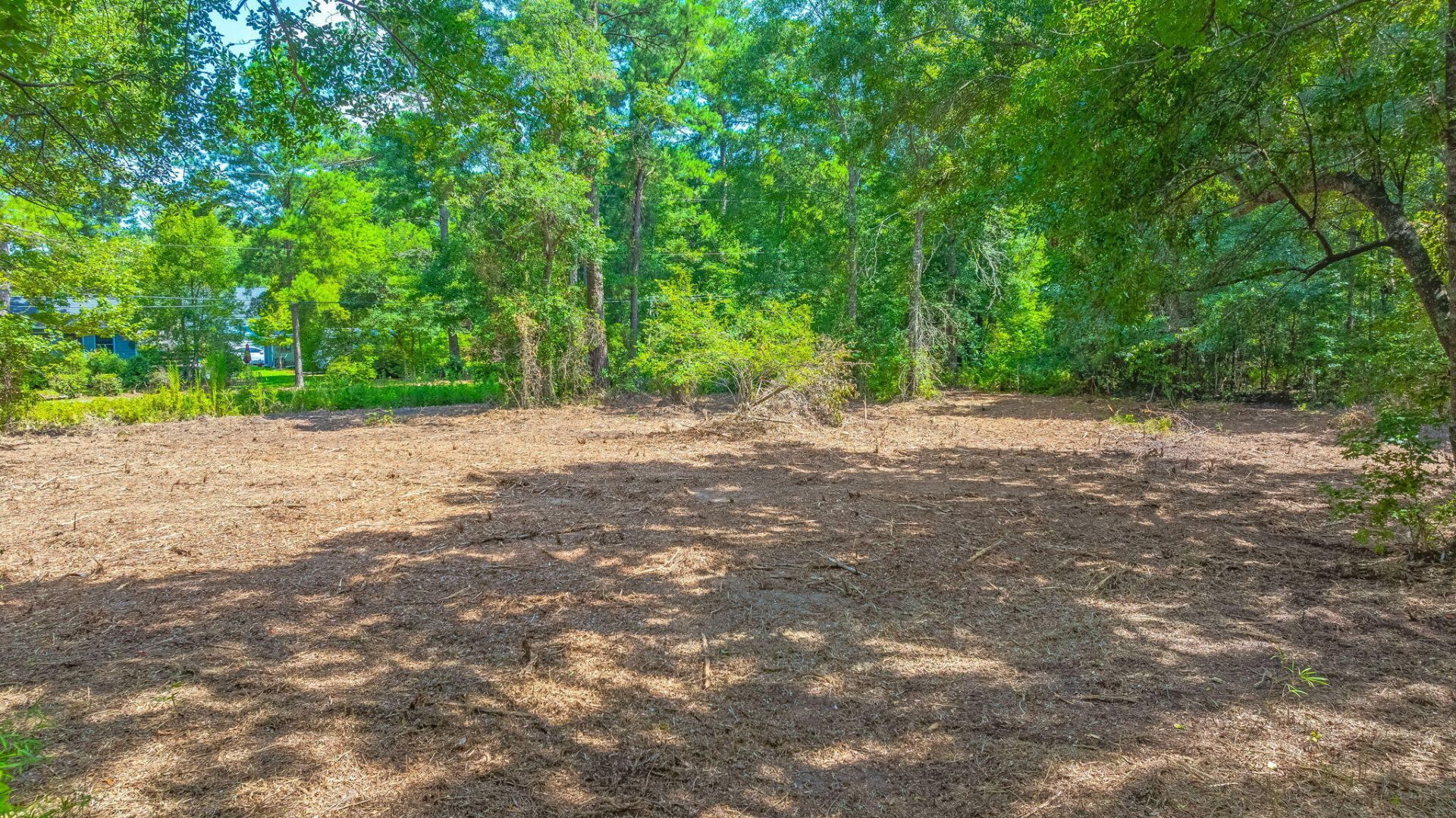 3305 Miller Drive Photo 5