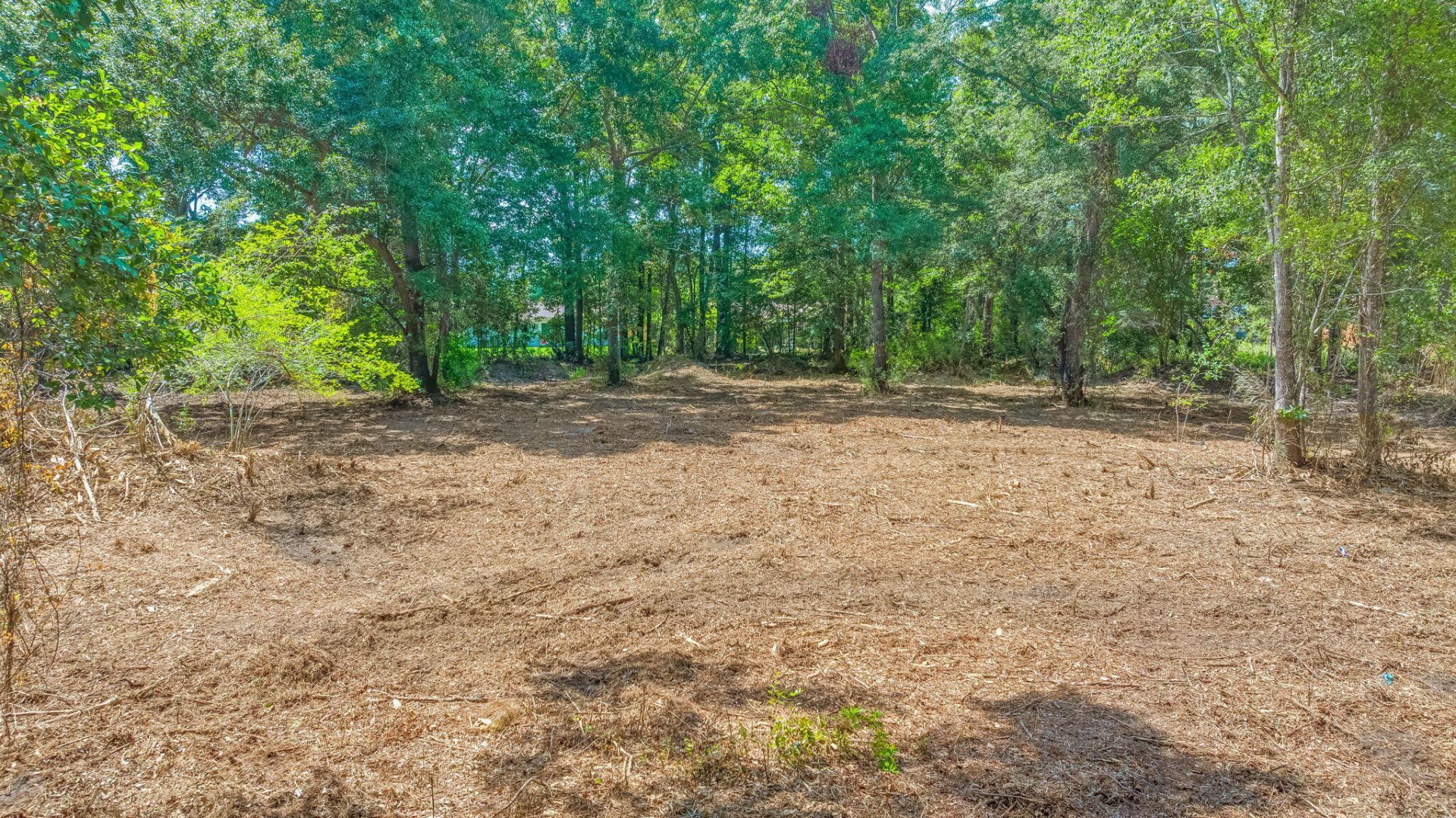 3305 Miller Drive Photo 6