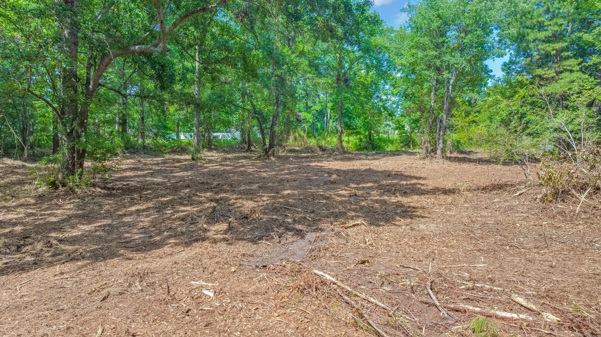 3305 Miller Drive Photo 7