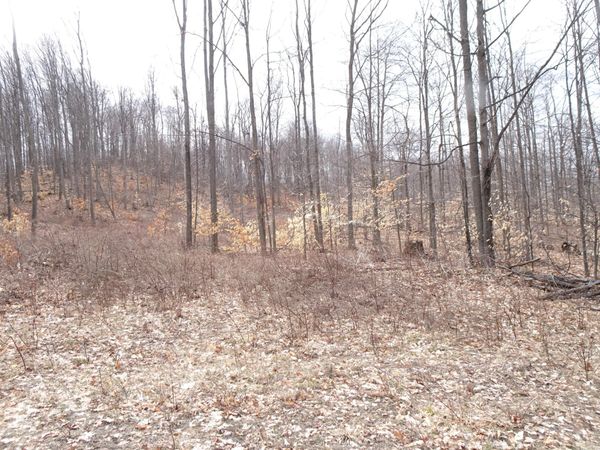 L Chief Road, Bear Lake, MI 49614